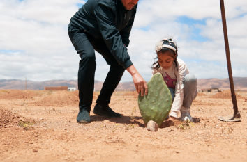 Plantation d’un figuier de Barbarie dans le sud du Maroc